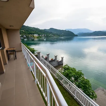 Adi&ena קונייץ'