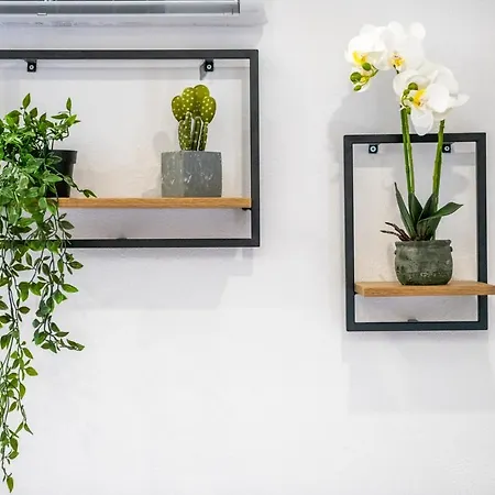 Adi&ena דירה קונייץ'