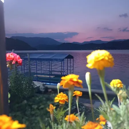 Adi&ena קונייץ'